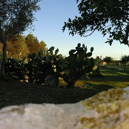 Venkovský dům Tenuta Divino Bacco Serranova