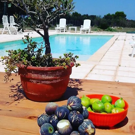 Tenuta Divino Bacco * Serranova