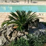 Kır Evi Tenuta Divino Bacco