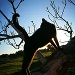 Tenuta Divino Bacco