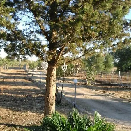 Tenuta Divino Bacco Country house